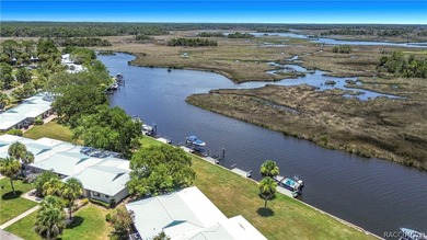 Boat Dock - CHECK!! Boat Lift - CHECK!! Sawgrass View - CHECK!! - photo 35