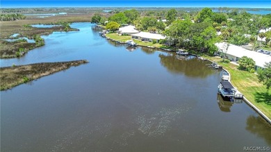 Boat Dock - CHECK!! Boat Lift - CHECK!! Sawgrass View - CHECK!! - photo 37