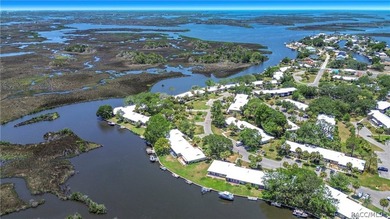 Boat Dock - CHECK!! Boat Lift - CHECK!! Sawgrass View - CHECK!! - photo 38