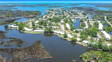 Boat Dock - CHECK!! Boat Lift - CHECK!! Sawgrass View - CHECK!! - photo 39