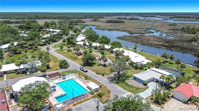 Boat Dock - CHECK!! Boat Lift - CHECK!! Sawgrass View - CHECK!! - photo 43