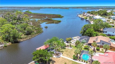 Boat Dock - CHECK!! Boat Lift - CHECK!! Sawgrass View - CHECK!! - photo 45