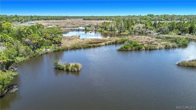 Boat Dock - CHECK!! Boat Lift - CHECK!! Sawgrass View - CHECK!! - photo 46