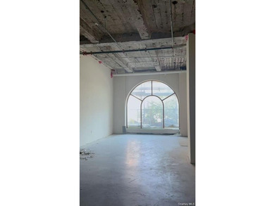 Prime commercial condo unit located in the heart of - photo 5