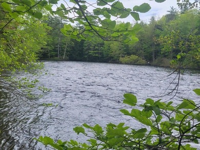(private lake, pond, coastal) Lot For Sale in Porter Maine