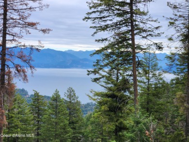 (private lake, pond, creek) Acreage For Sale in Sagle Idaho