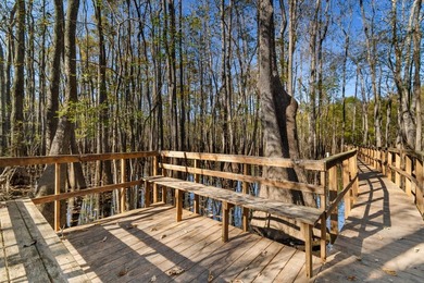 A must see hidden gem on the Waccamaw River in Conway, just 7 - photo 29