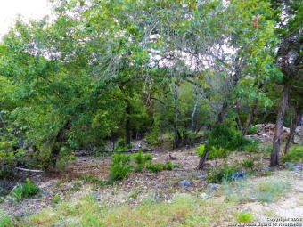 Beautiful  2 acre lot with hillcountry views. On a quiet cul de - Lake Acreage For Sale in Mico, Texas