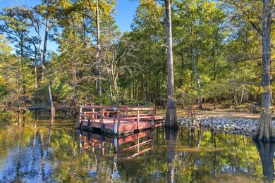 A must see hidden gem on the Waccamaw River in Conway, just 7 - photo 37