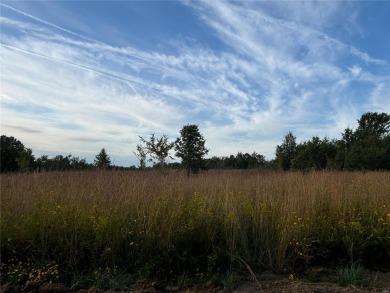 Mark Twain Lake Acreage For Sale in Perry Missouri