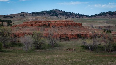 Redwater Ranch spans 905.6+/- acres just north of Spearfish - photo 12