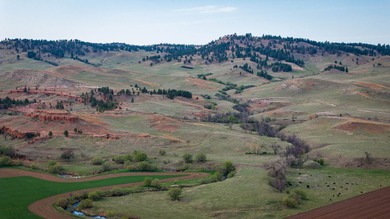 Redwater Ranch spans 905.6+/- acres just north of Spearfish - photo 15
