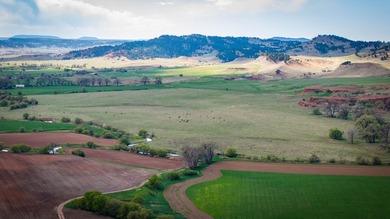 Redwater Ranch spans 905.6+/- acres just north of Spearfish - photo 17