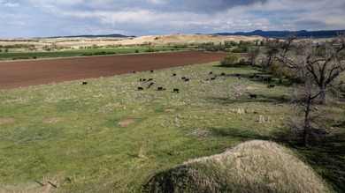 Redwater Ranch spans 905.6+/- acres just north of Spearfish - photo 20
