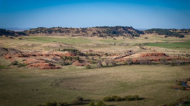 Redwater Ranch spans 905.6+/- acres just north of Spearfish - photo 24
