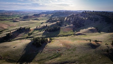 Redwater Ranch spans 905.6+/- acres just north of Spearfish - photo 28
