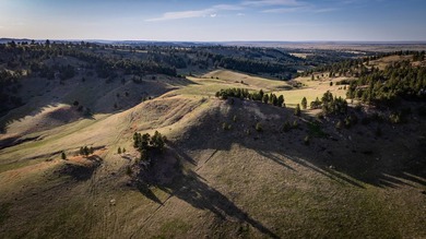 Redwater Ranch spans 905.6+/- acres just north of Spearfish - photo 30