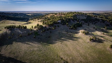 Redwater Ranch spans 905.6+/- acres just north of Spearfish - photo 31