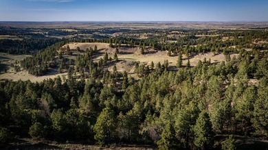 Redwater Ranch spans 905.6+/- acres just north of Spearfish - photo 32