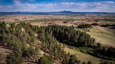 Redwater Ranch spans 905.6+/- acres just north of Spearfish - photo 33
