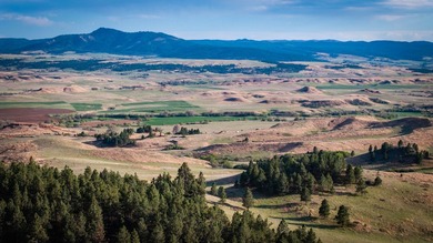 Redwater Ranch spans 905.6+/- acres just north of Spearfish - photo 34