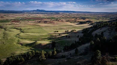 Redwater Ranch spans 905.6+/- acres just north of Spearfish - photo 35