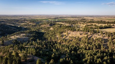 Redwater Ranch spans 905.6+/- acres just north of Spearfish - photo 36