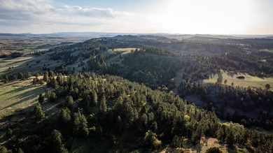 Redwater Ranch spans 905.6+/- acres just north of Spearfish - photo 37
