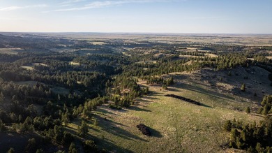 Redwater Ranch spans 905.6+/- acres just north of Spearfish - photo 38