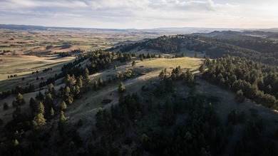 Redwater Ranch spans 905.6+/- acres just north of Spearfish - photo 39
