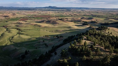 Redwater Ranch spans 905.6+/- acres just north of Spearfish - photo 40