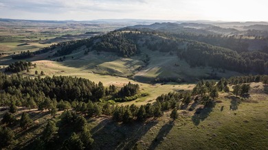 Redwater Ranch spans 905.6+/- acres just north of Spearfish - photo 41