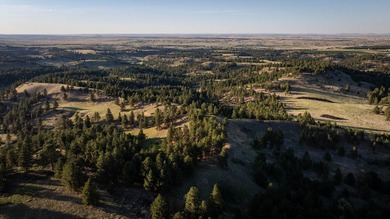 Redwater Ranch spans 905.6+/- acres just north of Spearfish - photo 42
