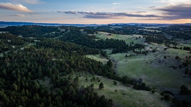 Redwater Ranch spans 905.6+/- acres just north of Spearfish - photo 44