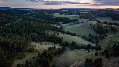 Redwater Ranch spans 905.6+/- acres just north of Spearfish - photo 45
