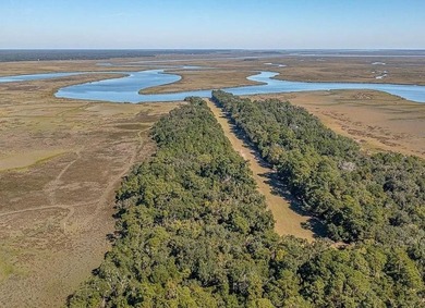 Don't miss this opportunity to own land on Hird Island. Hird - photo 7