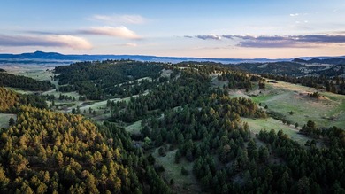 Redwater Ranch spans 905.6+/- acres just north of Spearfish - photo 48