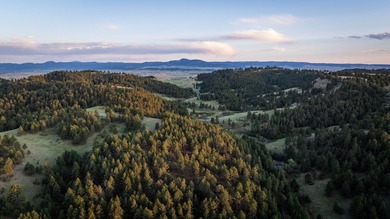 Redwater Ranch spans 905.6+/- acres just north of Spearfish - photo 49