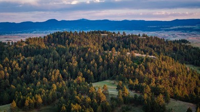 Redwater Ranch spans 905.6+/- acres just north of Spearfish - photo 50