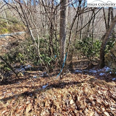 Nice, large buildable lot in the Buckeye Rec area with .82 acres - photo 8