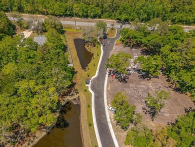 Welcome to The Canopy, a brand-new 25 lot development on - photo 7