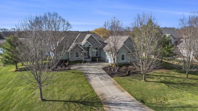 Hamlet Lake Home For Sale in Stanwood Michigan