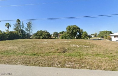 Build your new home in beautiful SW Cape Coral Florida on a - photo 2