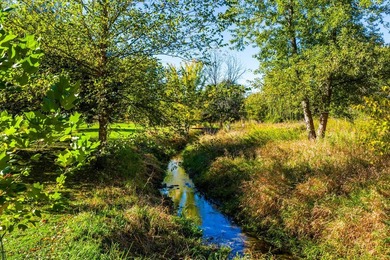 You are going to love coming home to this fabulous 1.6 acre lot - photo 5