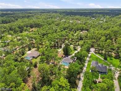 This move-in ready 3-bed + Den, 2-bath home sits on over 1 acre - photo 38