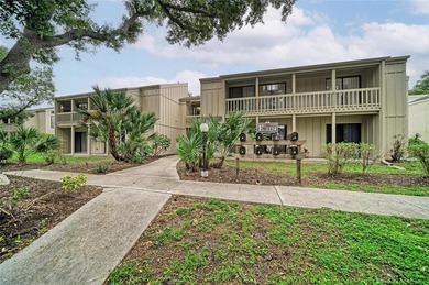Welcome to maintenance-free living the the heart of Sarasota! - photo 44
