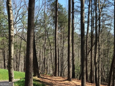 Carters Lake Lot For Sale in Ellijay Georgia