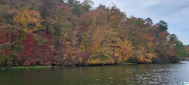 Beautiful Lake Front Lot in prestigious Eagle Point at Lake - photo 1