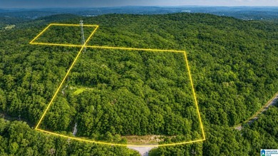 Discover 36.1 acres of wooded land offering privacy, lake views - photo 1