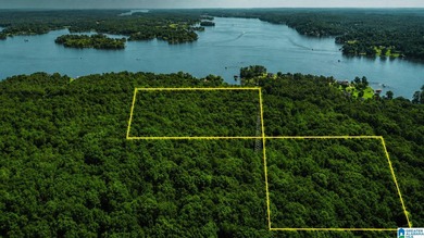Discover 36.1 acres of wooded land offering privacy, lake views - photo 2